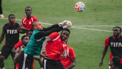 Mondial : les Lions attendent les Saoudiens de pied ferme