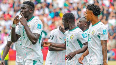 Mondial : ce qu'il faut rectifier chez les Lions, selon Pape Fall