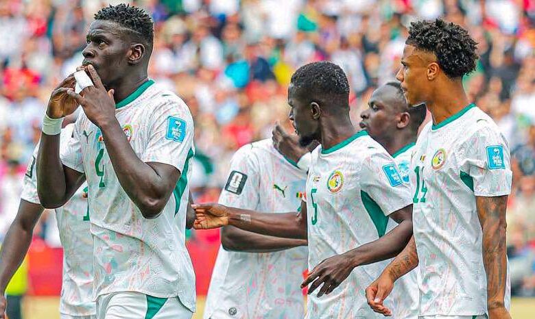 Mondial : ce qu'il faut rectifier chez les Lions, selon Pape Fall