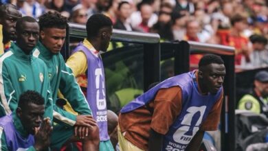 Lourde chute des Lions dans le Classement FIFA