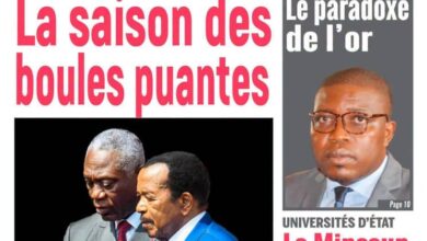 Les journaux camerounais