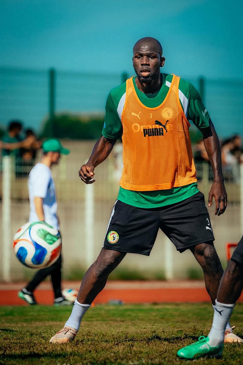 Kalidou Koulibaly capitaine des Lions